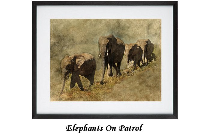 Elephants On Patrol